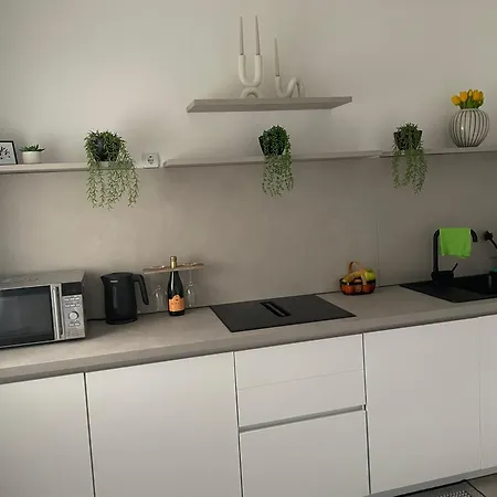 Orchideen * فيلاخ